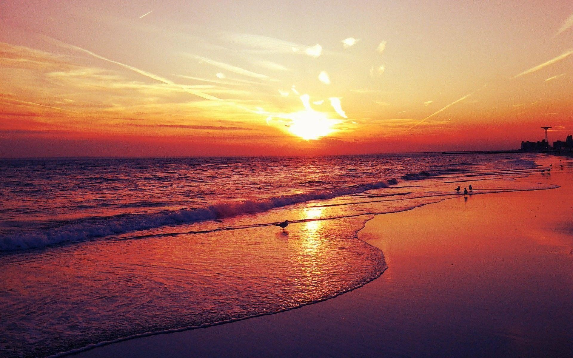 Beach Sunset Wallpaper  1080x2248