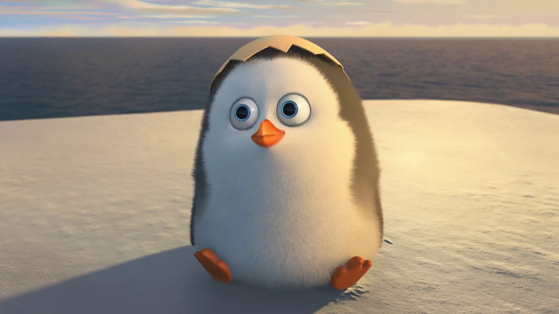 Cute Penguin Backgrounds (48+ pictures)
