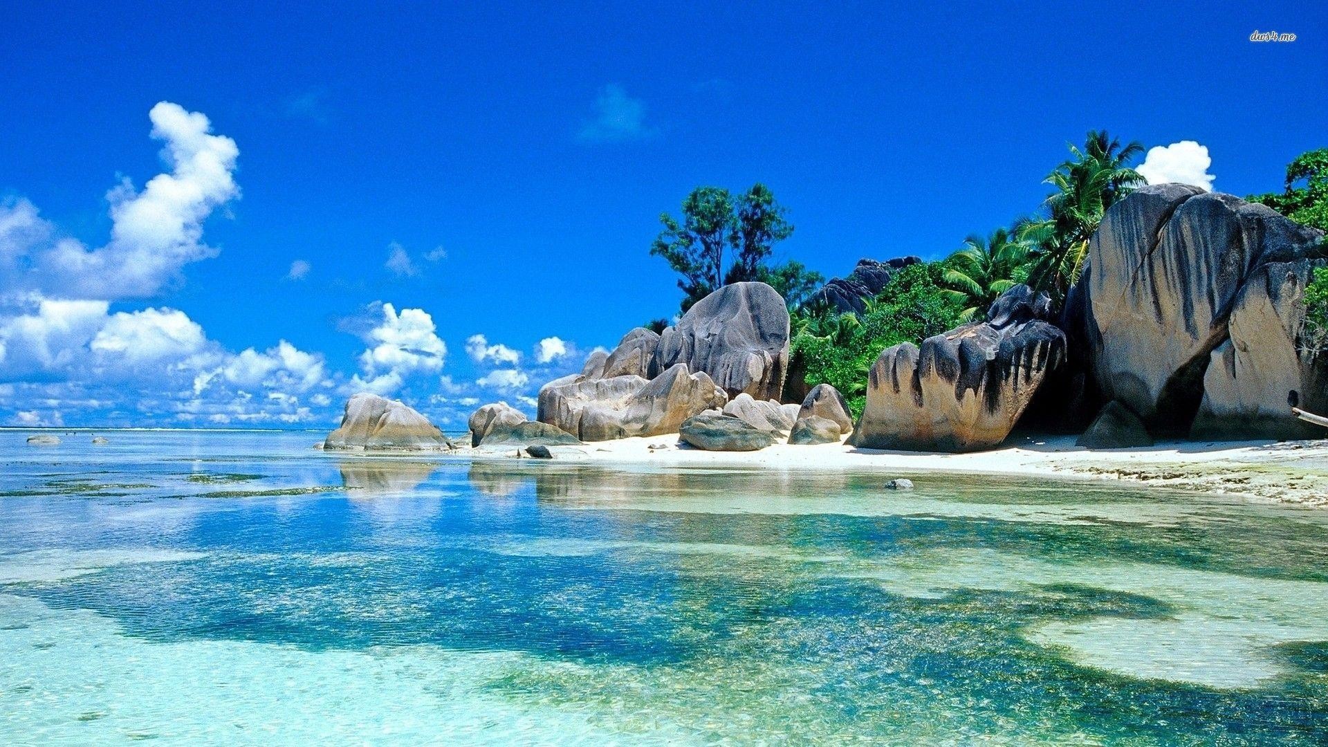 Stay in the Seychelles: the 6 things to do absolutely in 2023