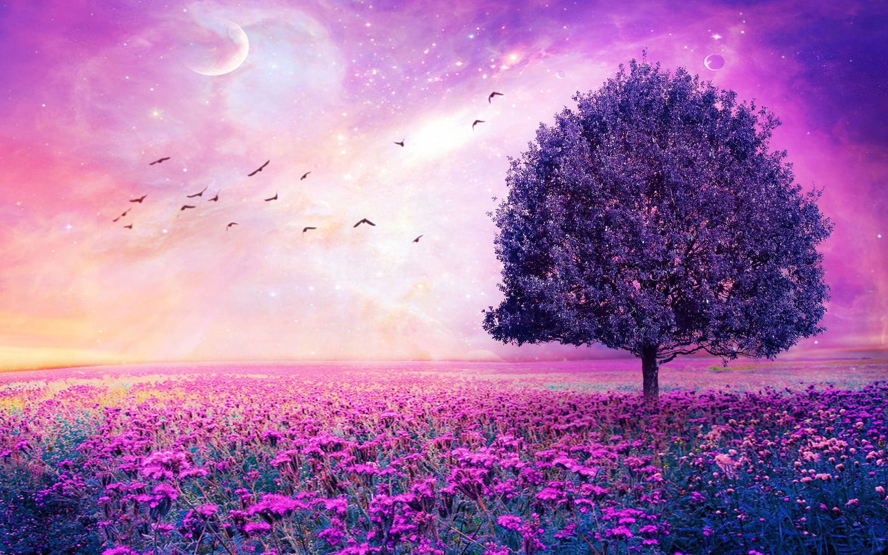 Purple Tree Wallpaper (53+ pictures)