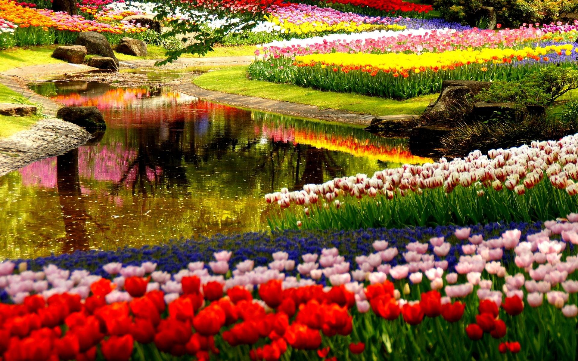 Garden HD WallpapersAmazoncoukAppstore for Android