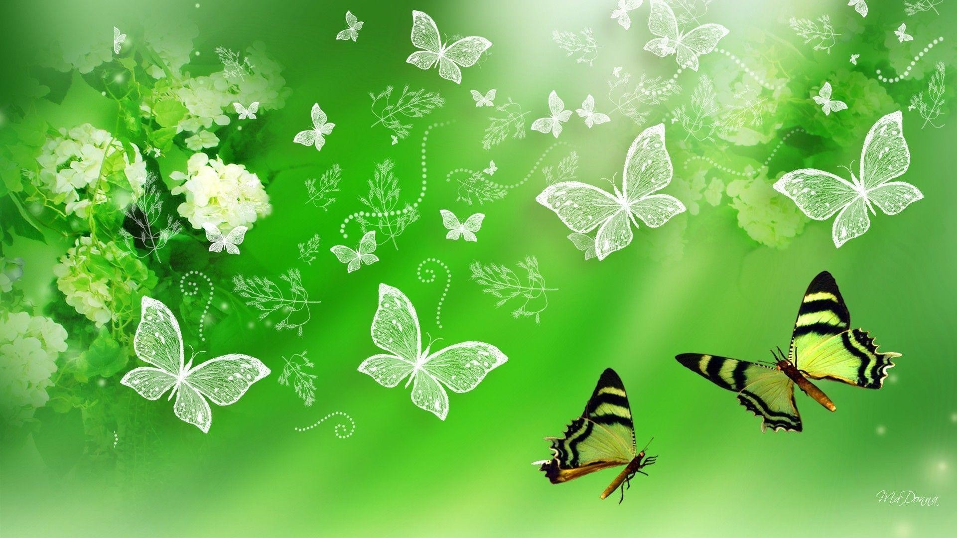 Green Butterfly Wallpaper (65+ pictures)