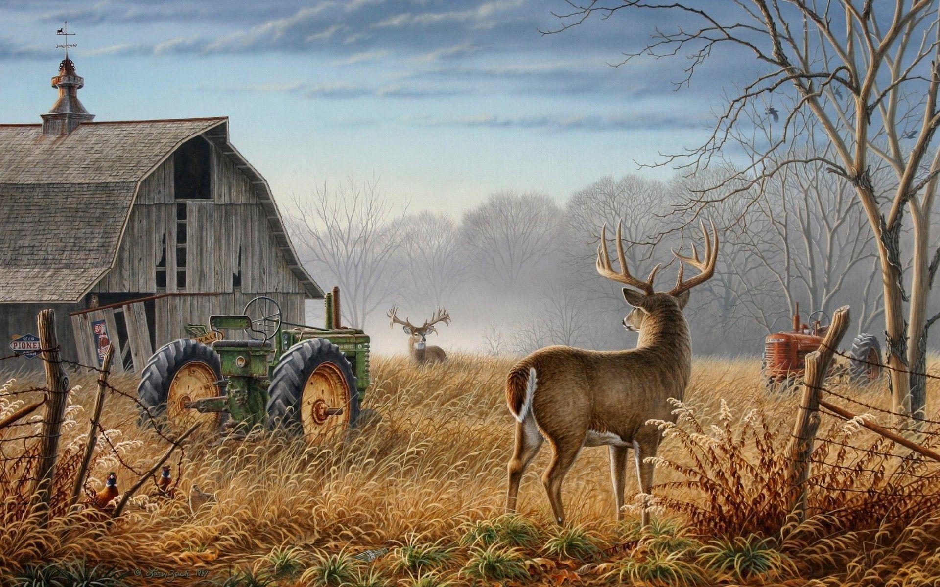 Deer Hunting Wallpaper for Computer (56+ pictures)