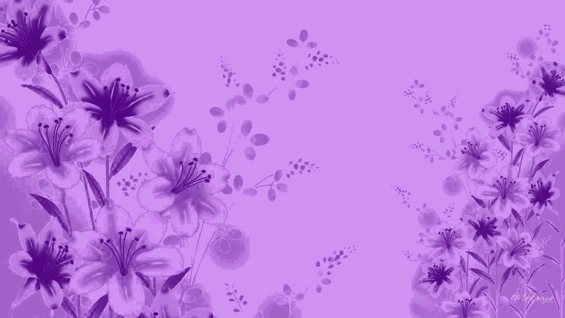 Lavender Color Wallpaper (56+ pictures)