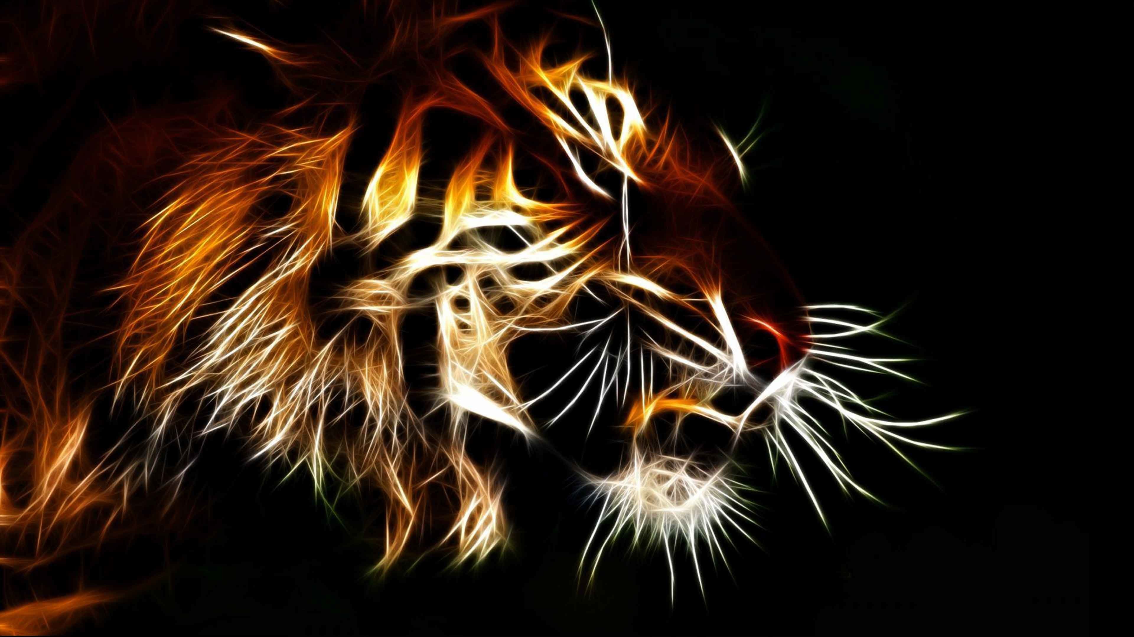 Wallpapers of Tigers (62+ pictures)