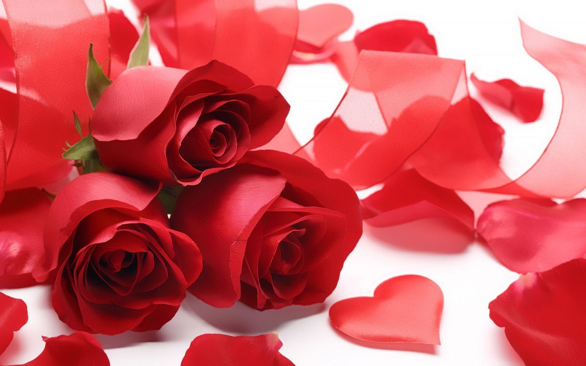 Red Roses and Hearts Wallpaper (45+ pictures)