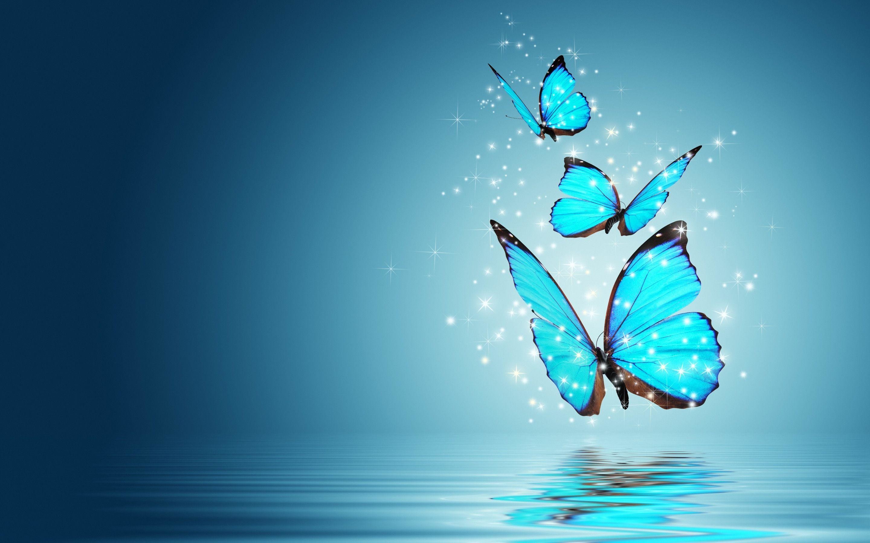 Blue Butterfly Wallpaper (75+ pictures)