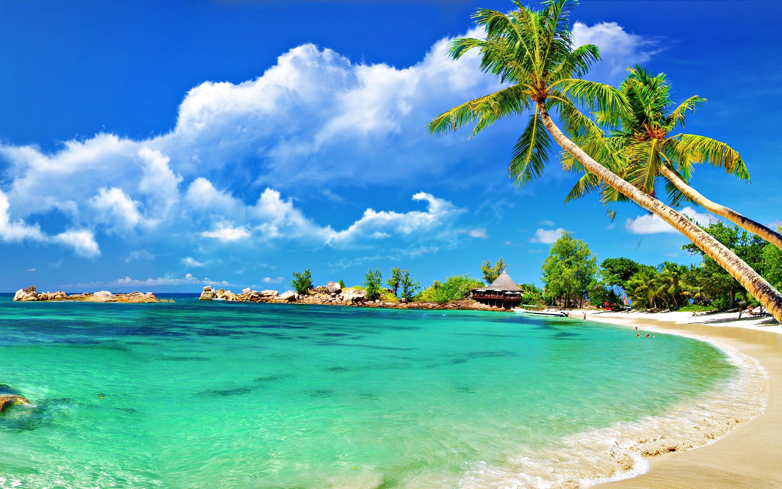 Most Beautiful Beach Wallpaper (64+ pictures)