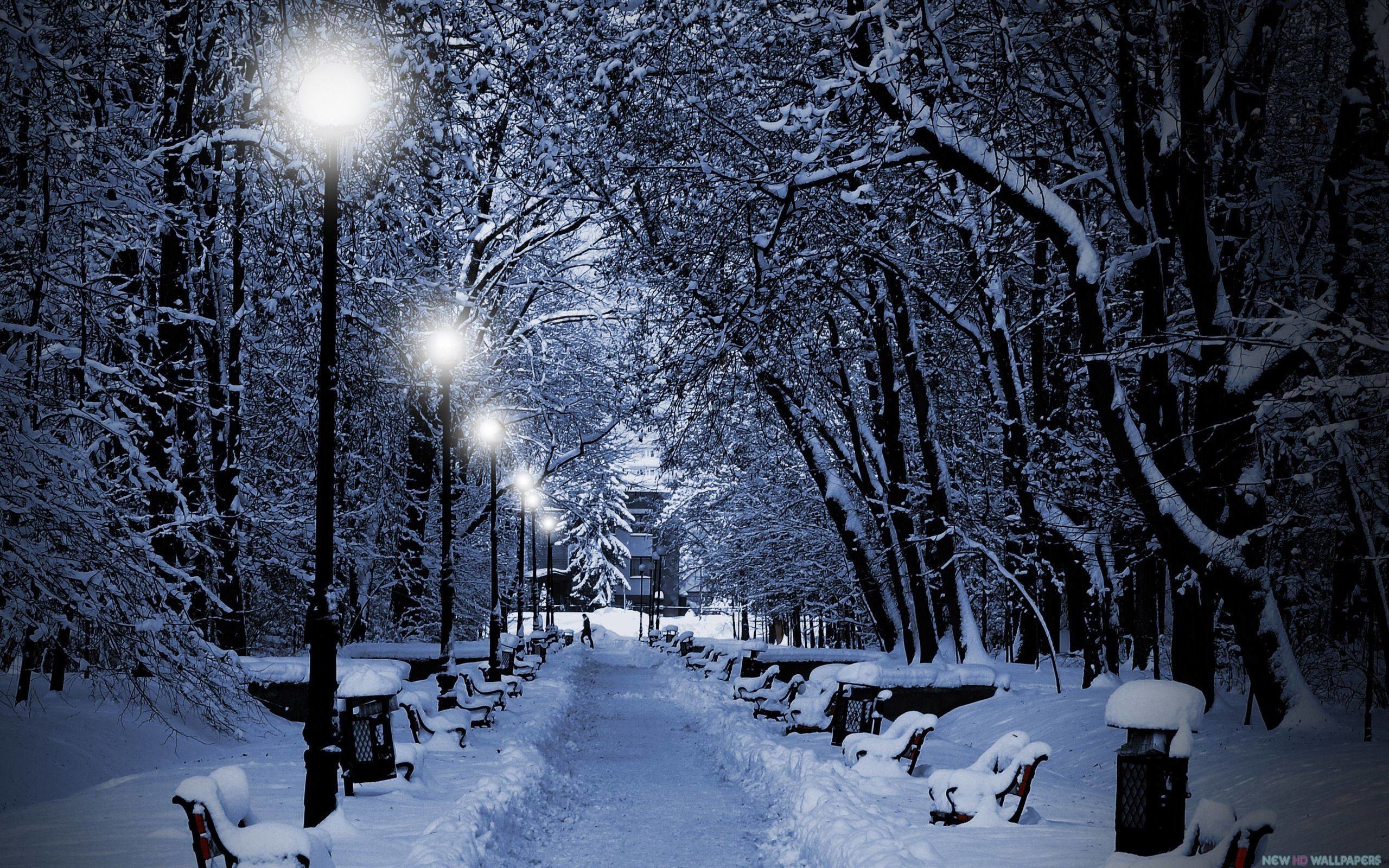 Snowy Night Wallpaper (69+ pictures)