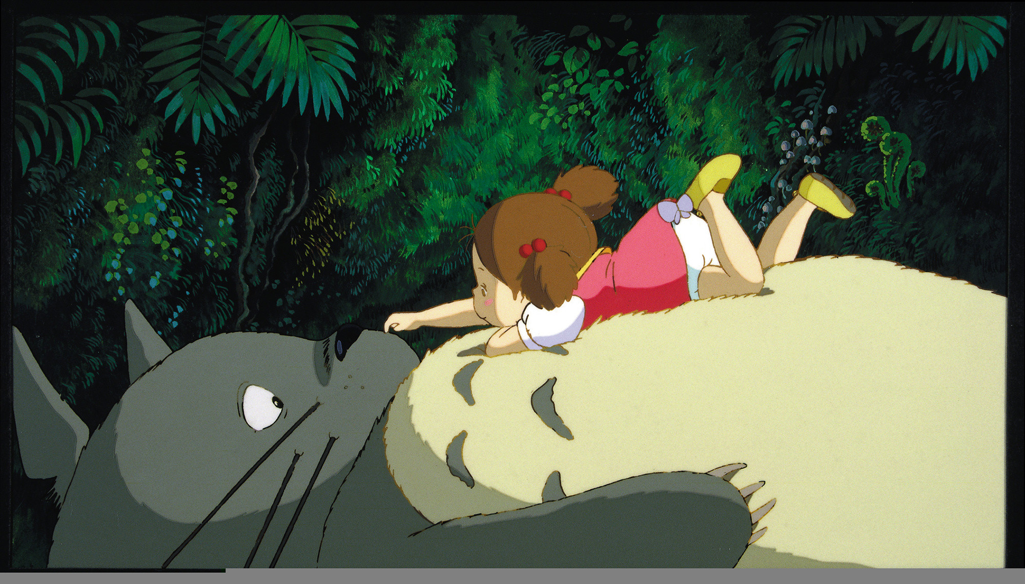 Images-download-totoro-wallpapers-HD 2000x1140