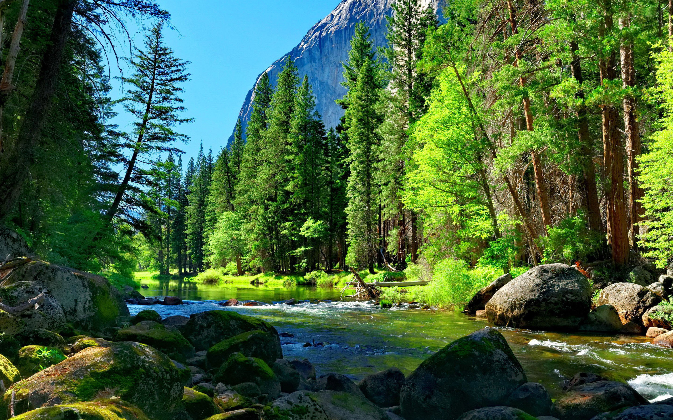 2560x1600 2560x1600