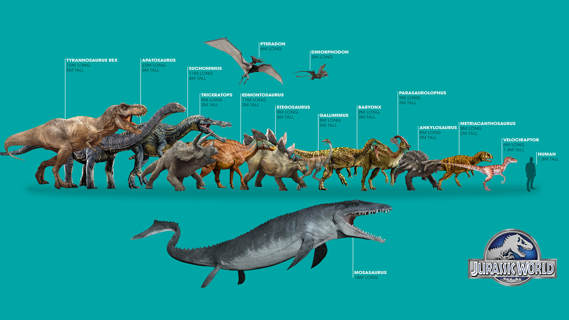 Сравнение динозавров. Мозазавр Юрского периода. Мозазавр мир Юрского периода. Мир Юрского периода размер динозавров.