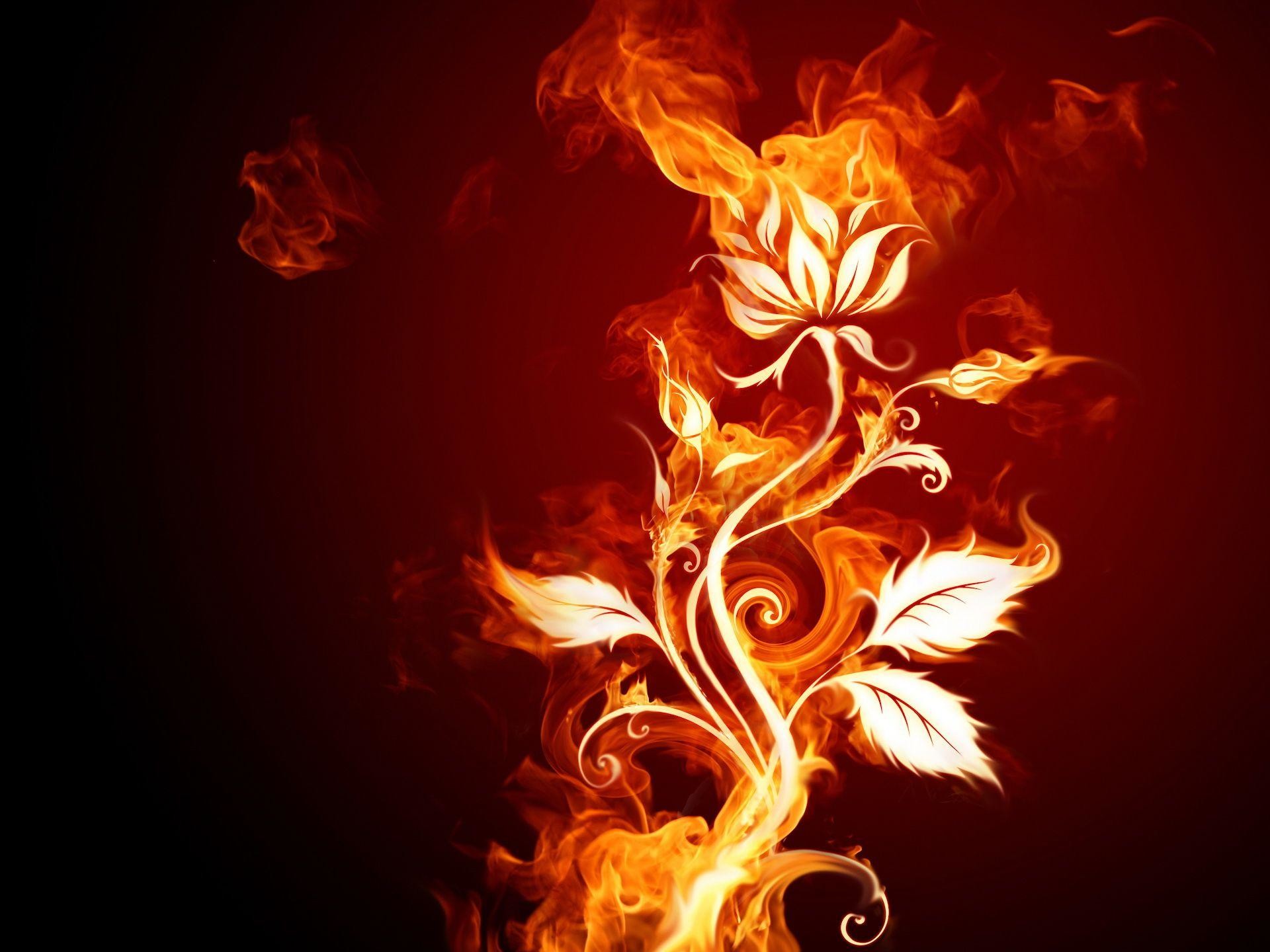 Cool Looking Flower Wallpaper: Cool Flower Wallpapers - Photolabels.co 1920x1440