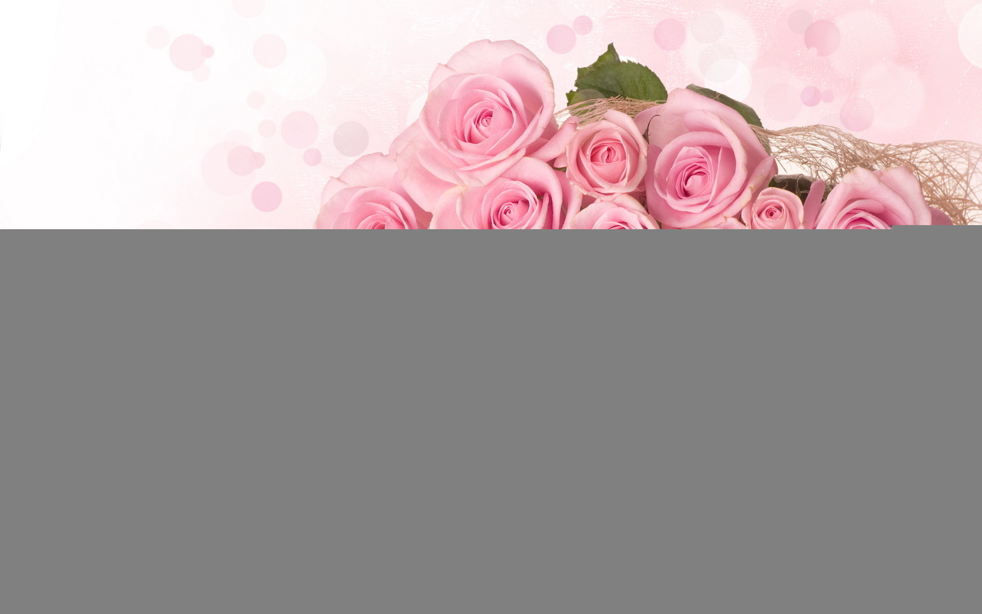 Pink Roses Background 1920x1200