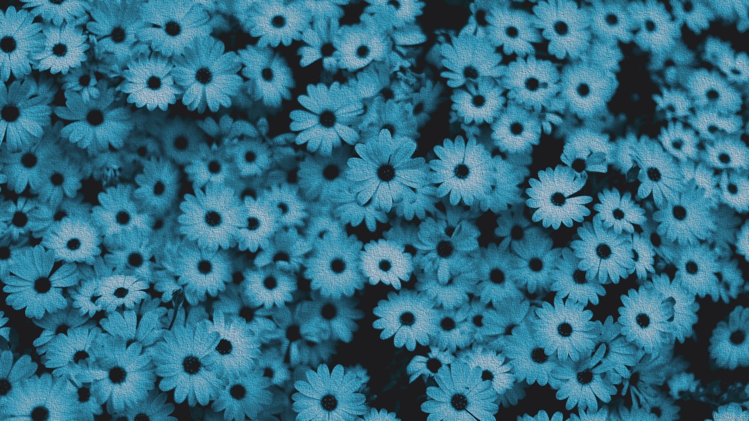 Blue Flower Wallpaper (60+ pictures)