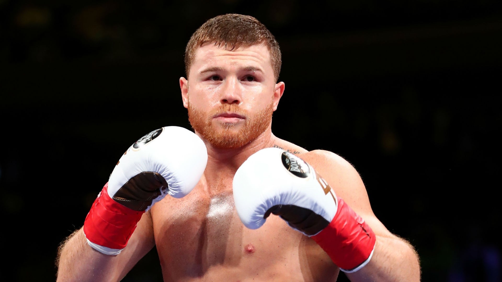 Canelo Alvarez Wallpapers (80+ pictures)