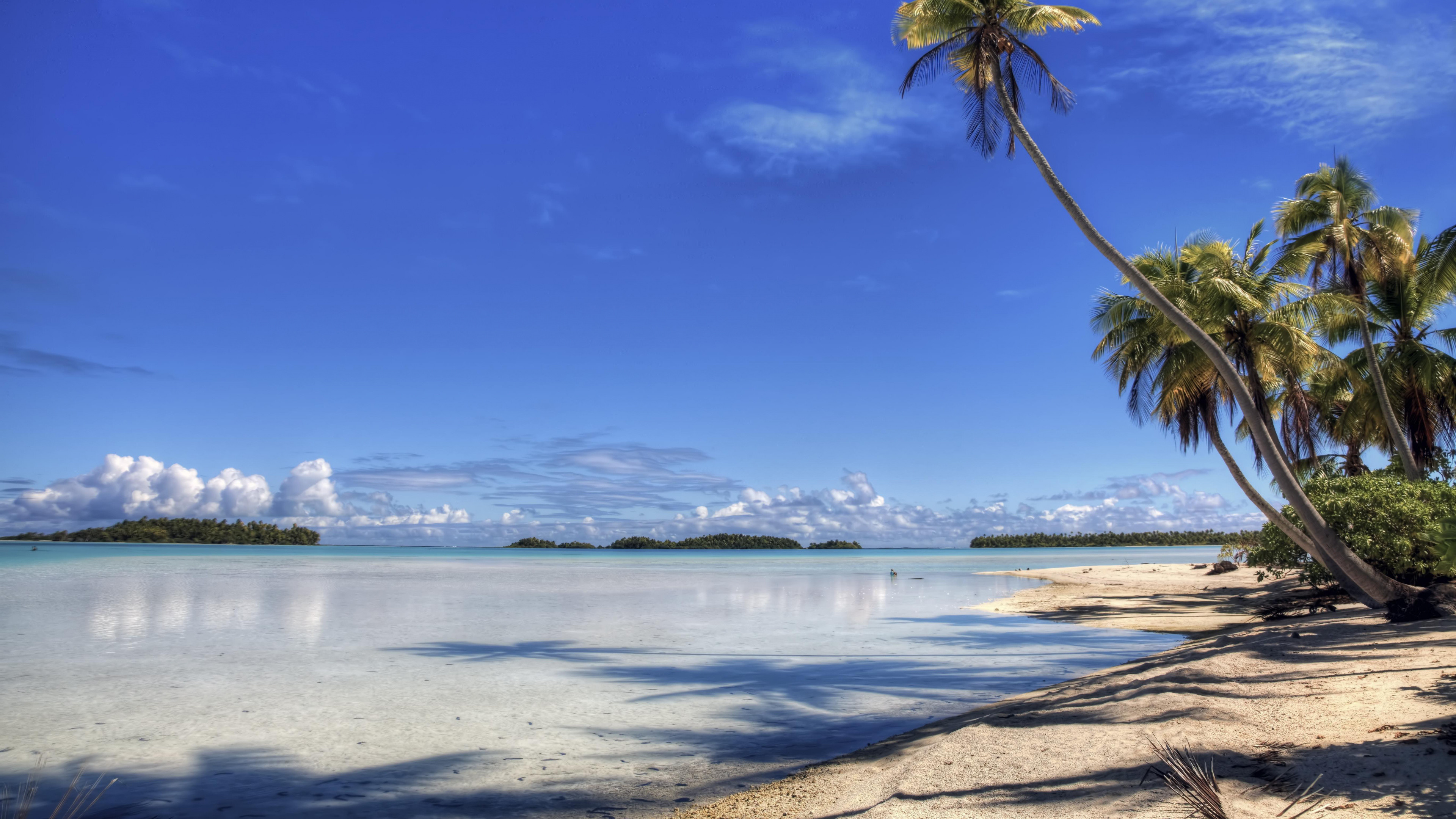 Остров обои айфон. Парадиз остров Карибского моря. Карибское море Доминикана. Море пляж пальмы. Пляж с пальмами.