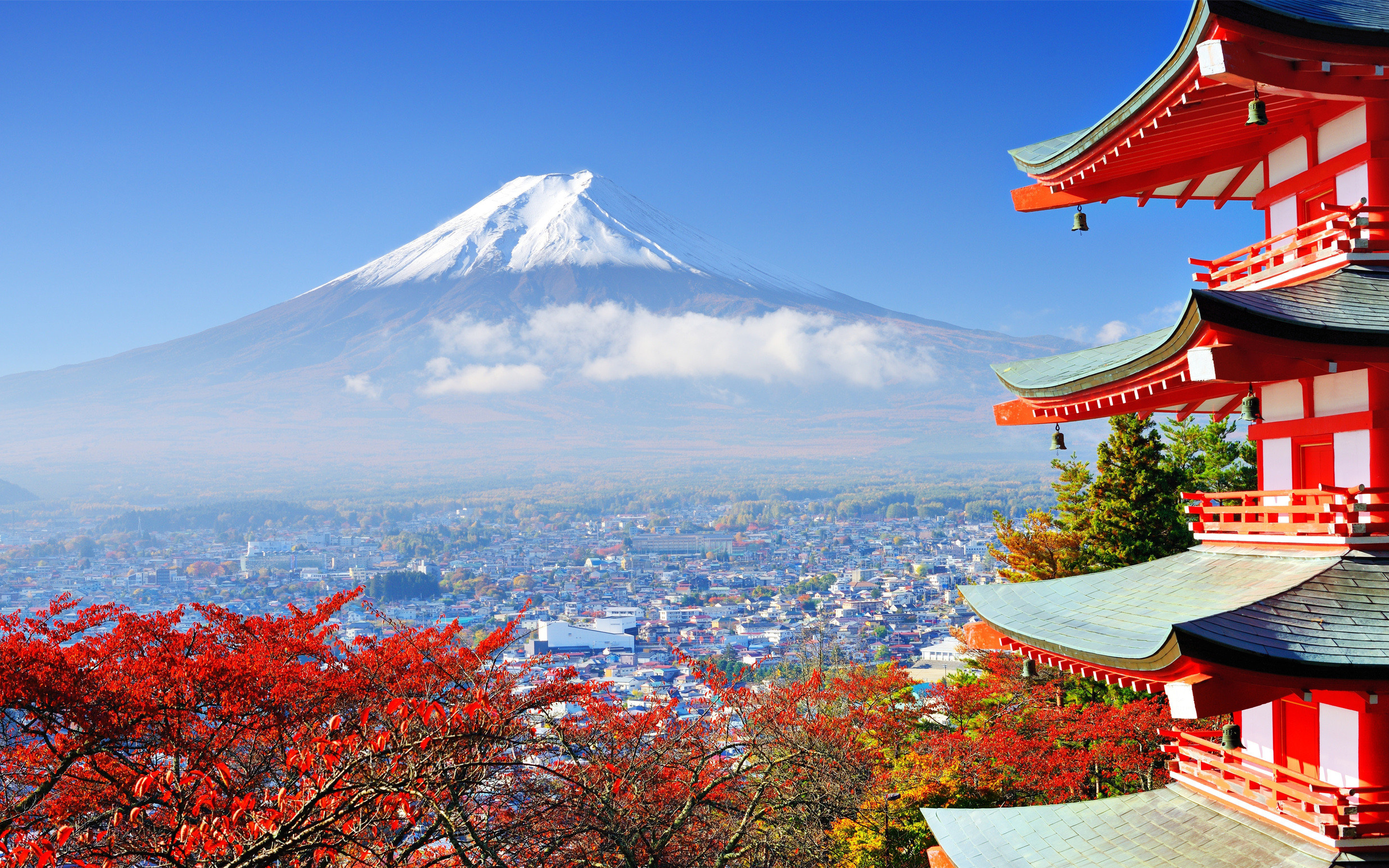 Autumn Mount Fuji Lake Mountain Park japan HD wallpaper  Peakpx