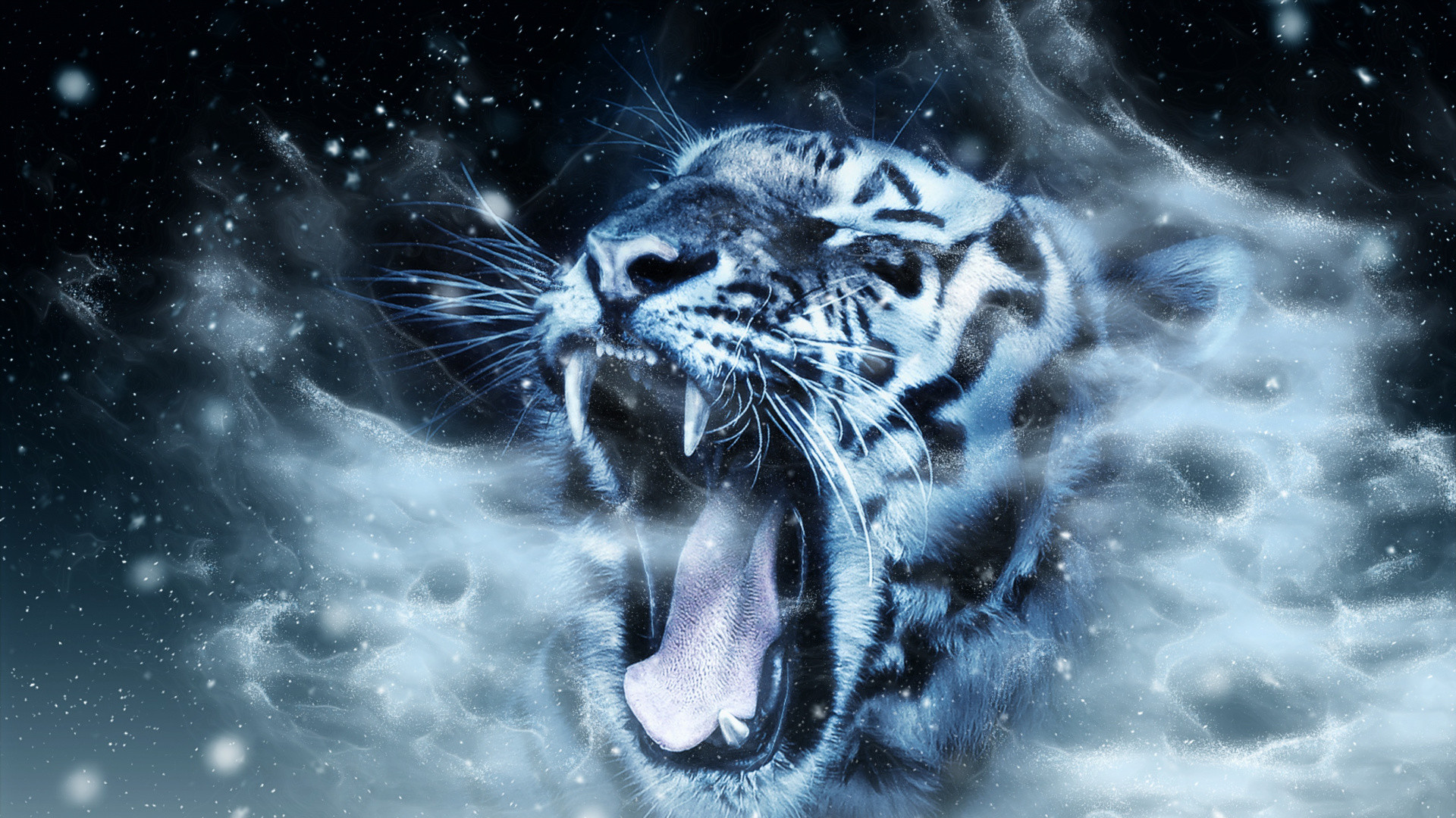 Black Panther Animal Wallpaper Hd 1080p - Hachiman Wallpaper