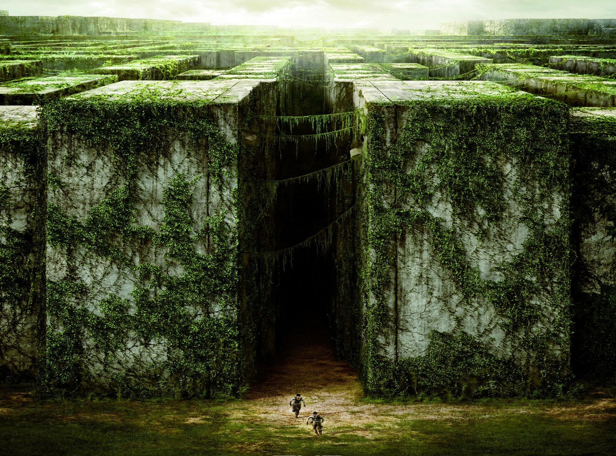 Maze 4K wallpapers for your desktop or mobile screen free and easy to  download