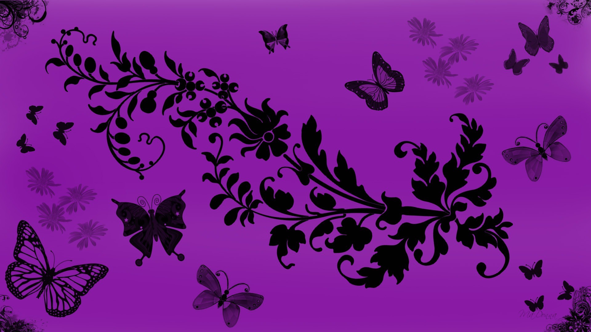 brown and white butterfly on purple petaled flower iPhone Wallpapers Free  Download