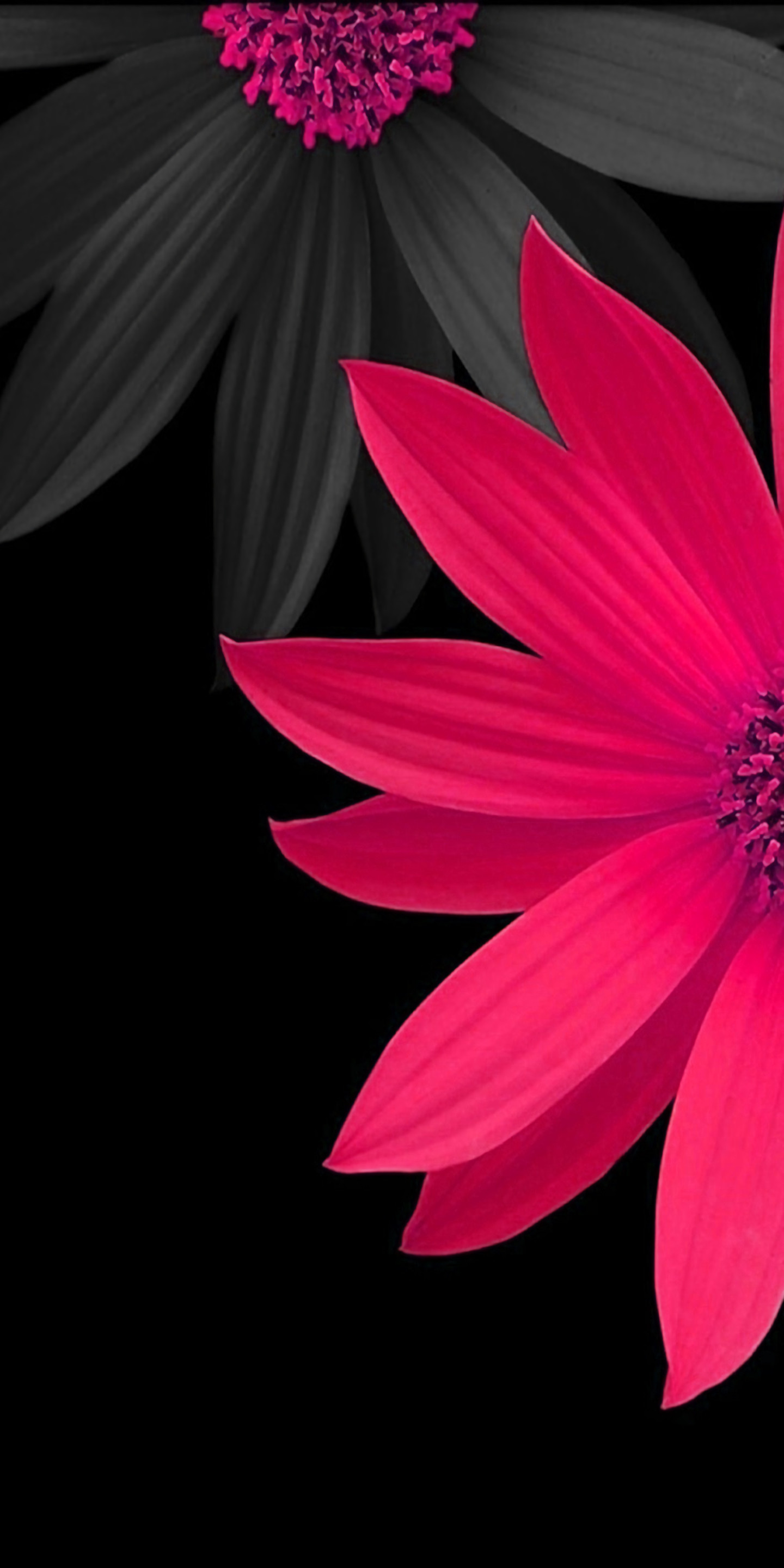 Most Used Wallpapers 66 Pictures