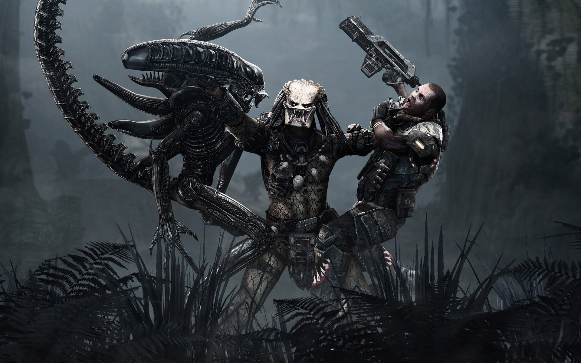 Predator Alien Xenomorph 4K Wallpaper #60