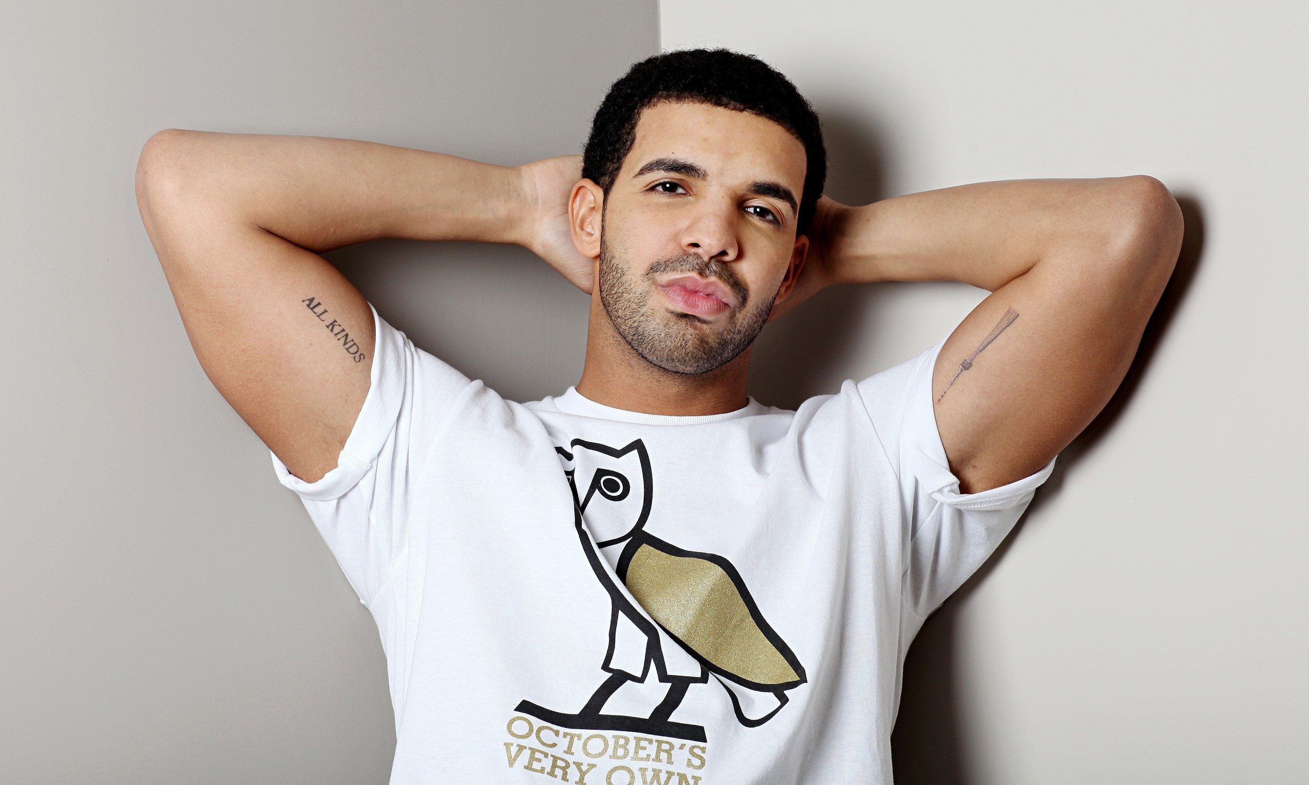 Drake Wallpaper (66+ pictures)