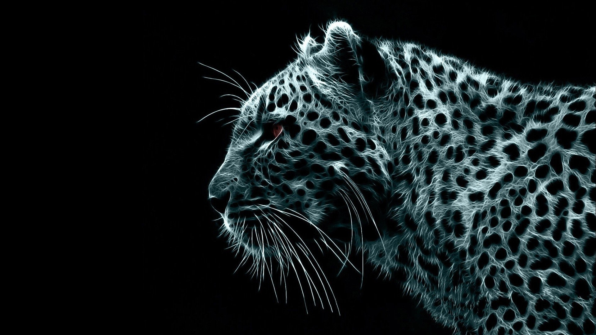 Jaguar Wallpaper 4K Wildcat Black background 2372