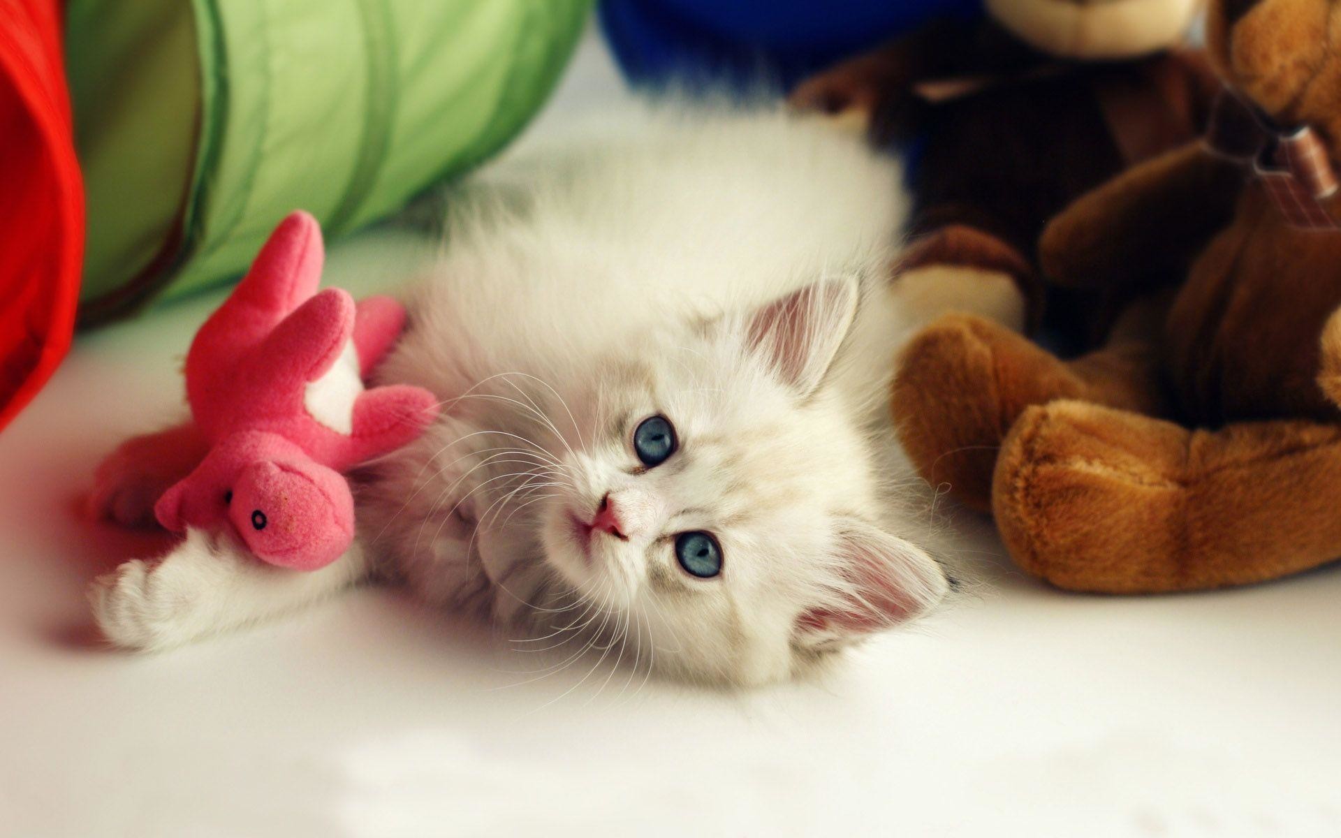 Cute Wallpapers HD (67+ pictures)