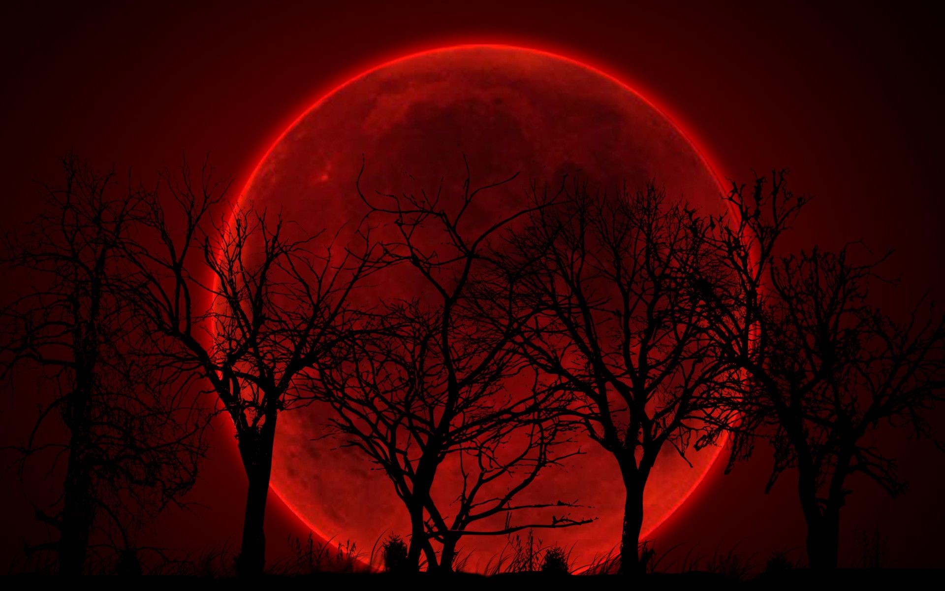 Akatsuki Red, moon, HD wallpaper