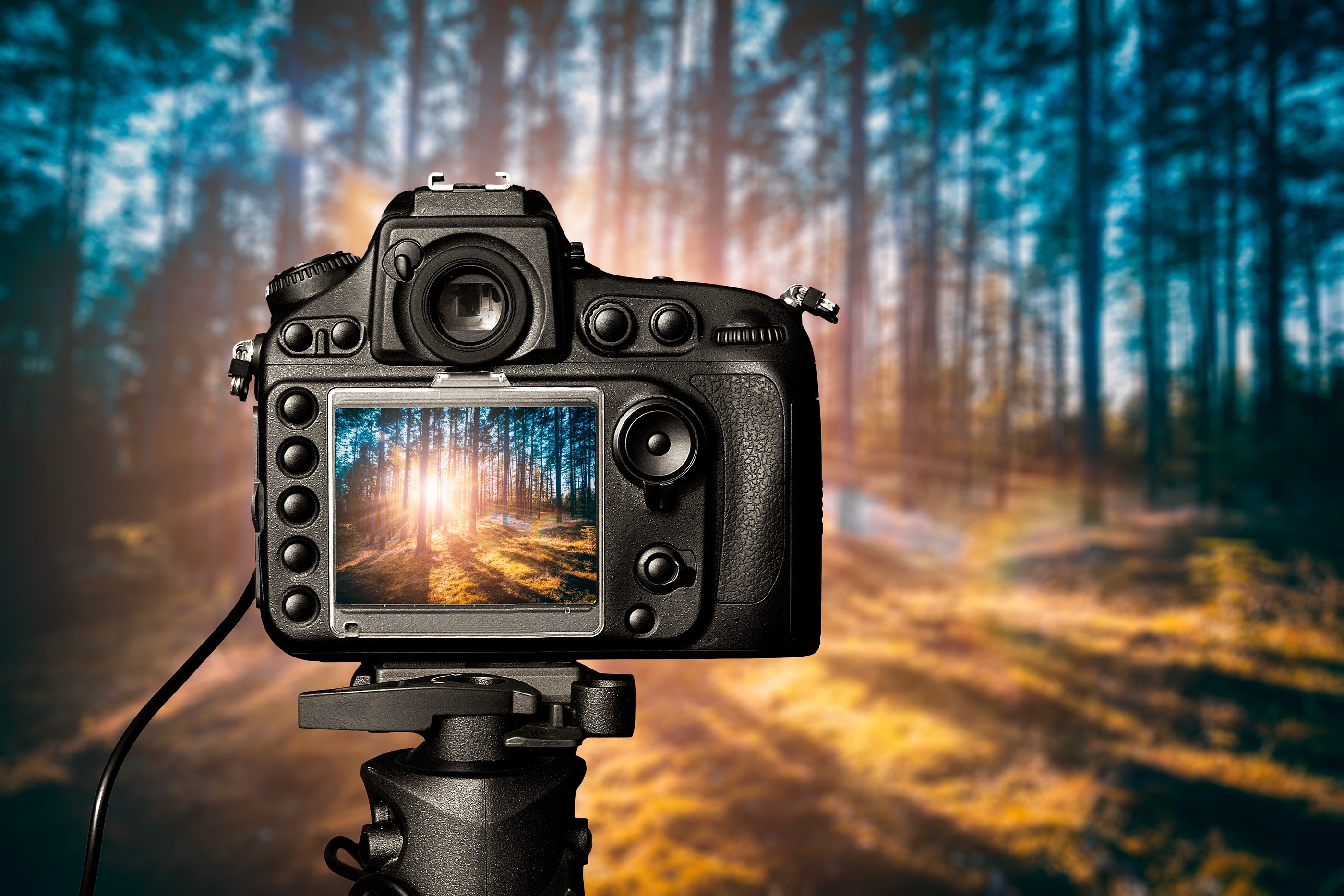 10000 Free Camera  Photographer Images  Pixabay