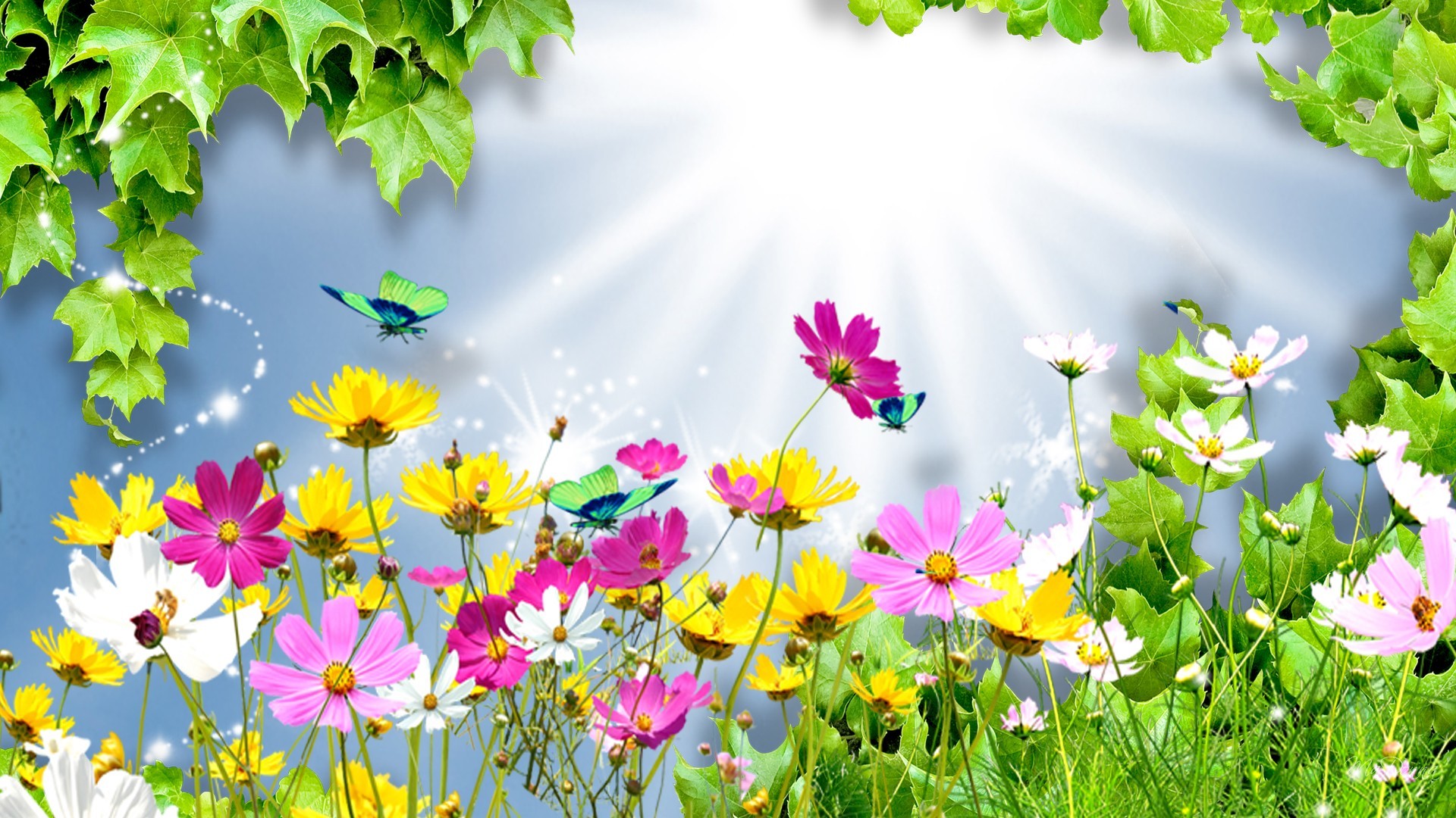 Summer Flower Backgrounds (54+ pictures)