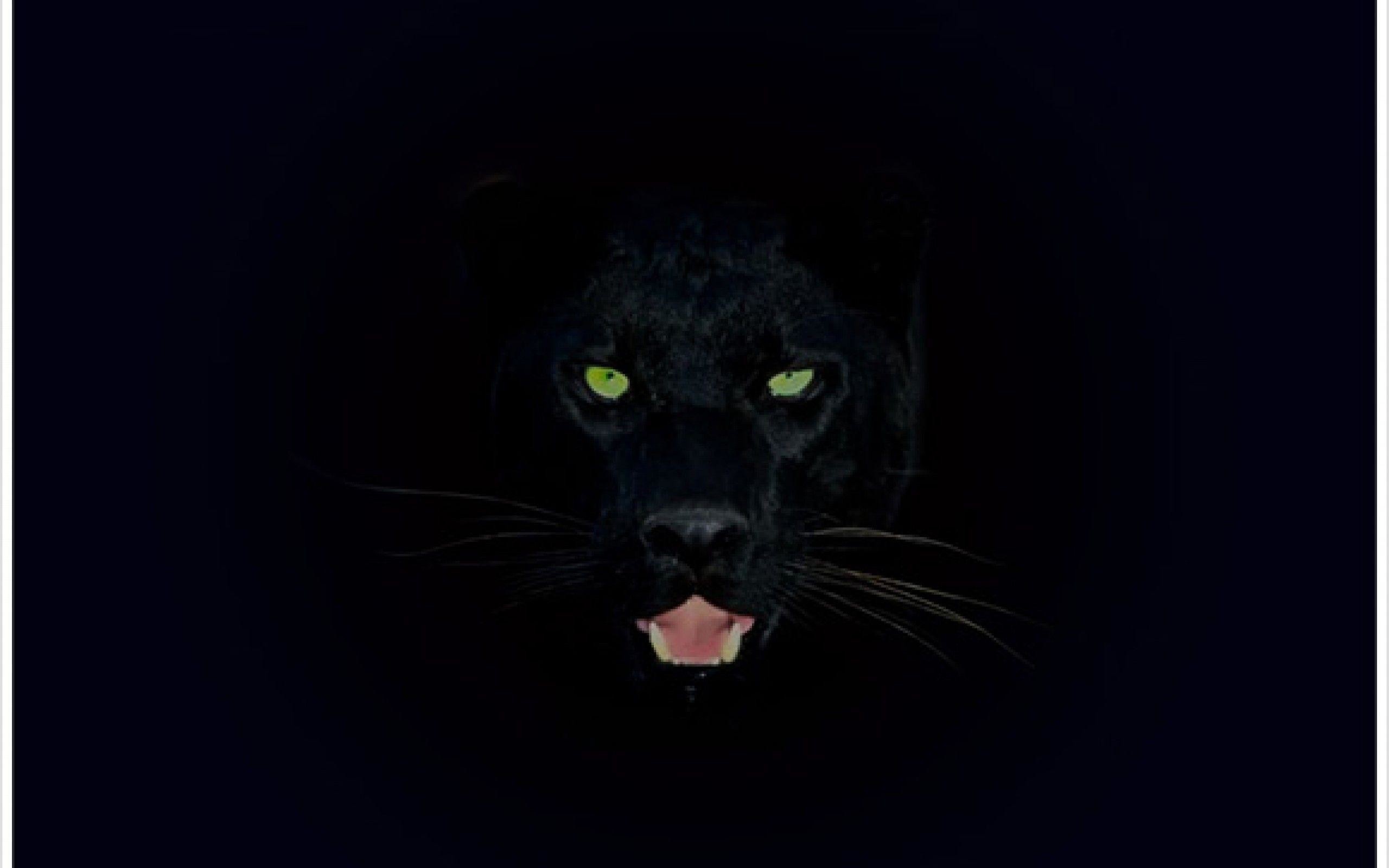 Черная пантера на заставку