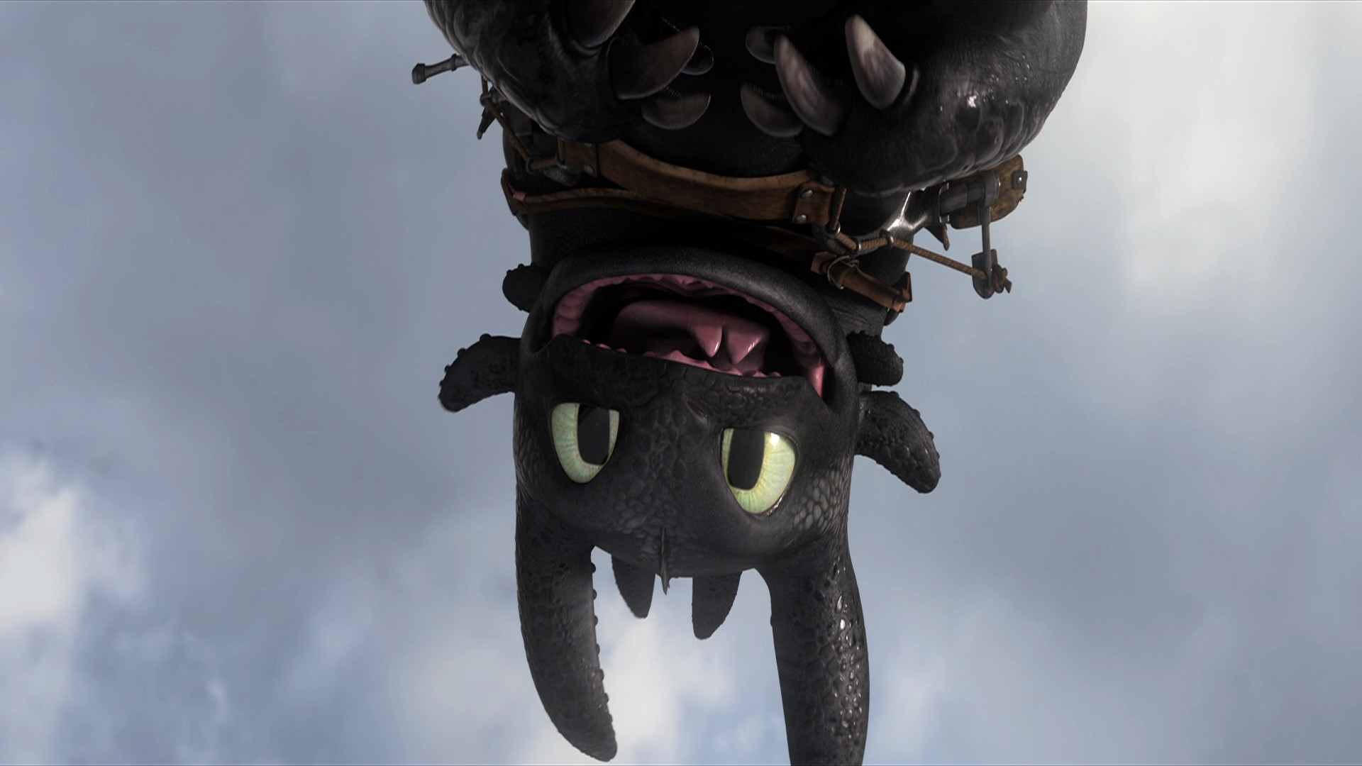 Toothless the Dragon Wallpaper.