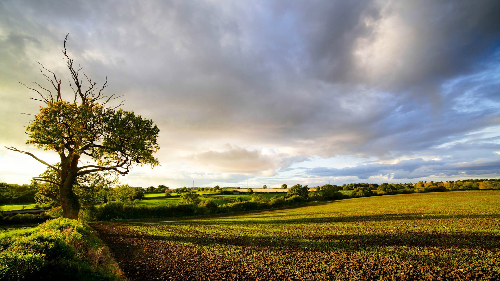 Countryside English Country HD phone wallpaper  Pxfuel