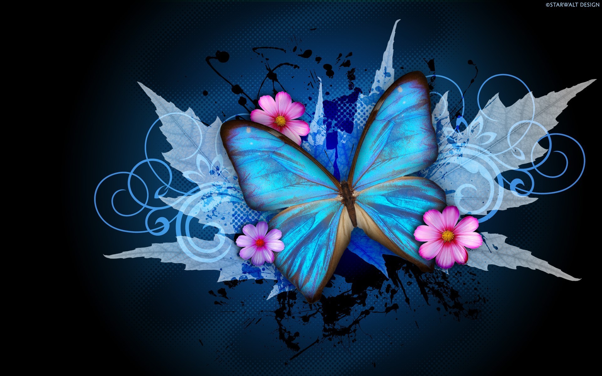 Update more than 59 butterflies desktop wallpaper best  incdgdbentre