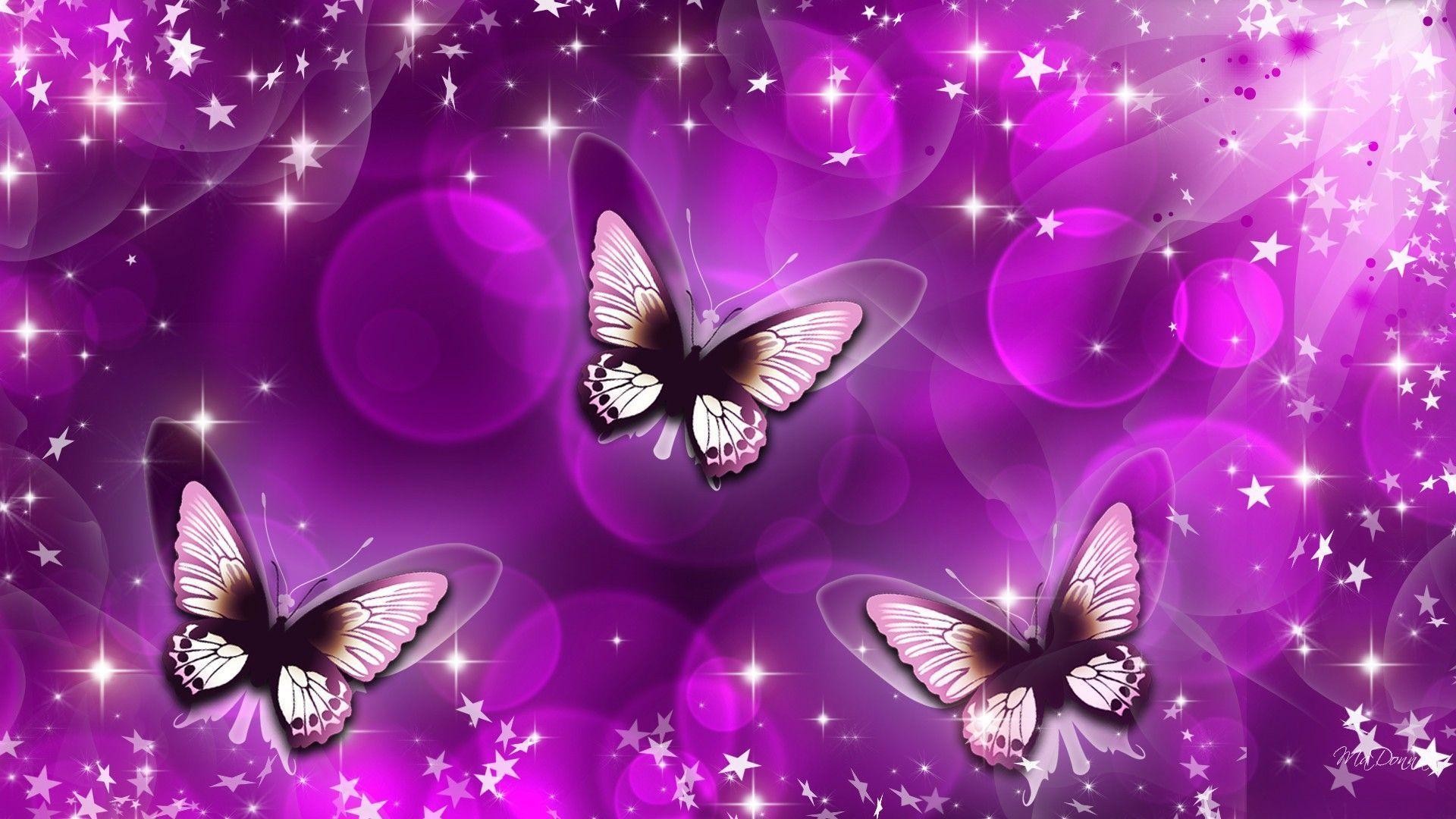 Purple Butterfly Wallpapers (57+ pictures)