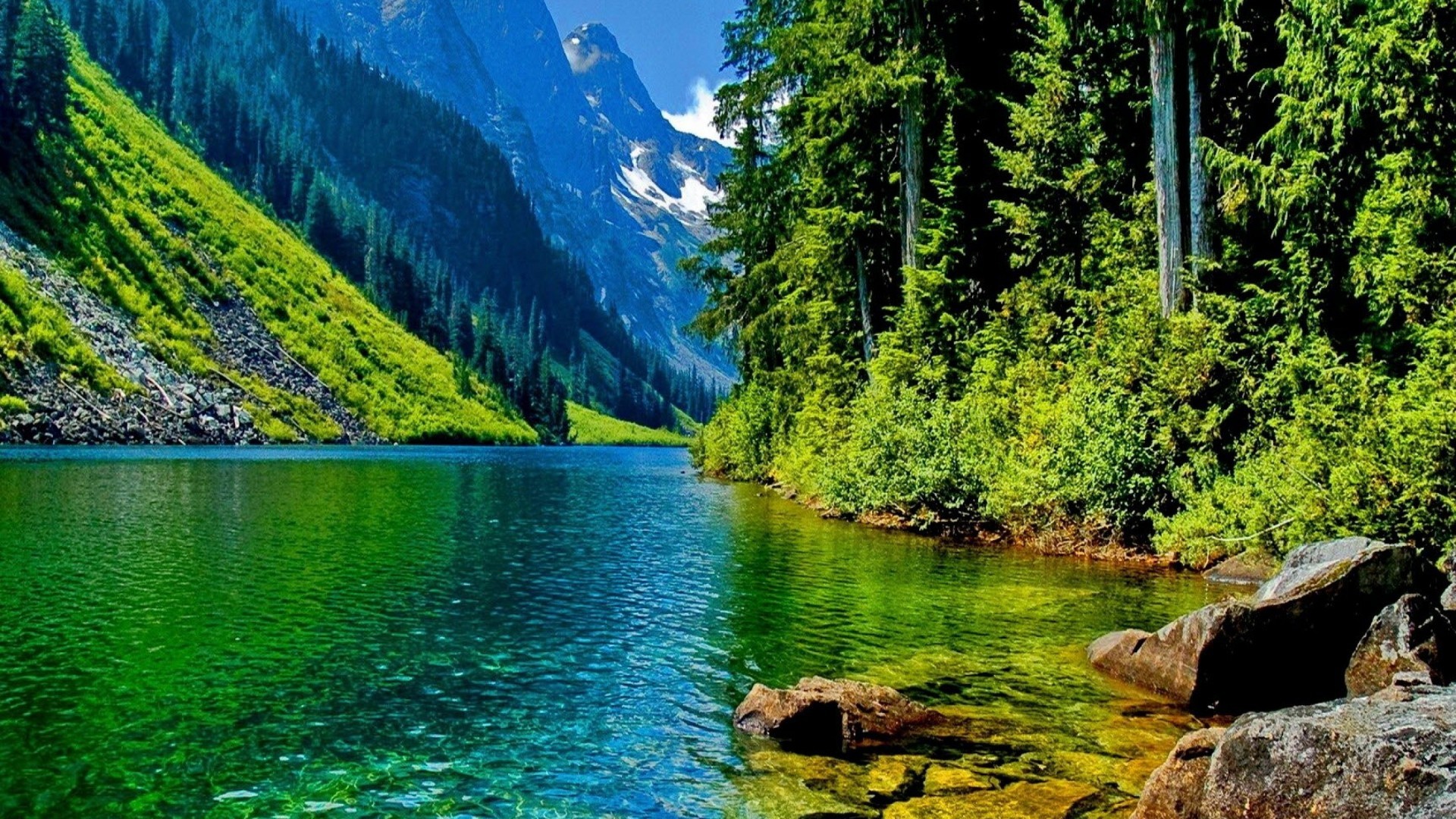 Windows 10 Wallpaper Hd 1920x1080 Nature Download ~ Nature Hd ...