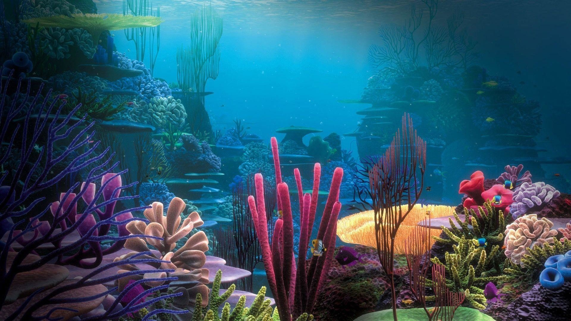 Finding Nemo Backgrounds (70+ pictures)