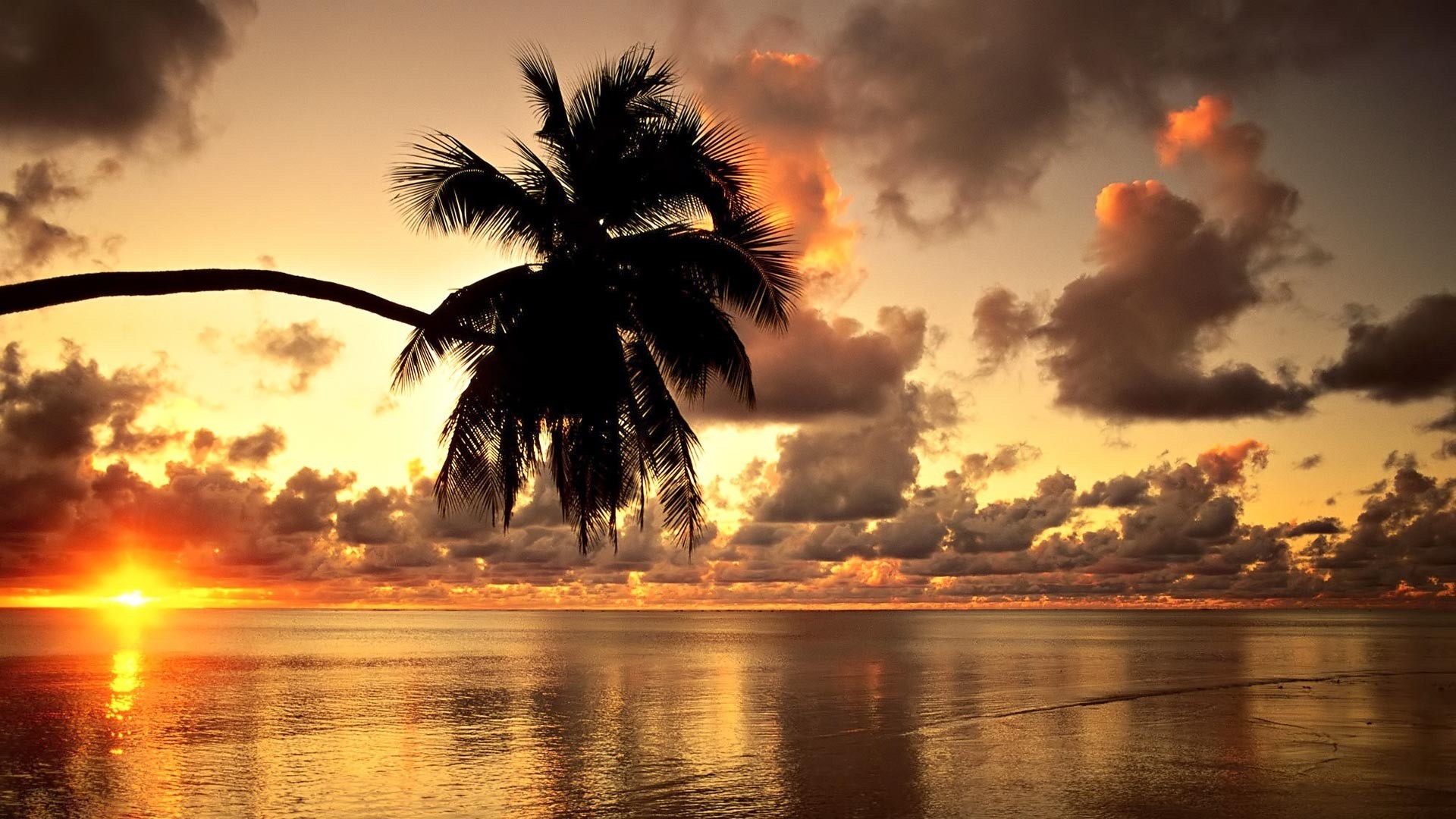 HD Beach Wallpapers 1080P | Home Â» Posts tagged "Hawaiian Sunset HD Beach  Wallpapers 1080p 1920x1080