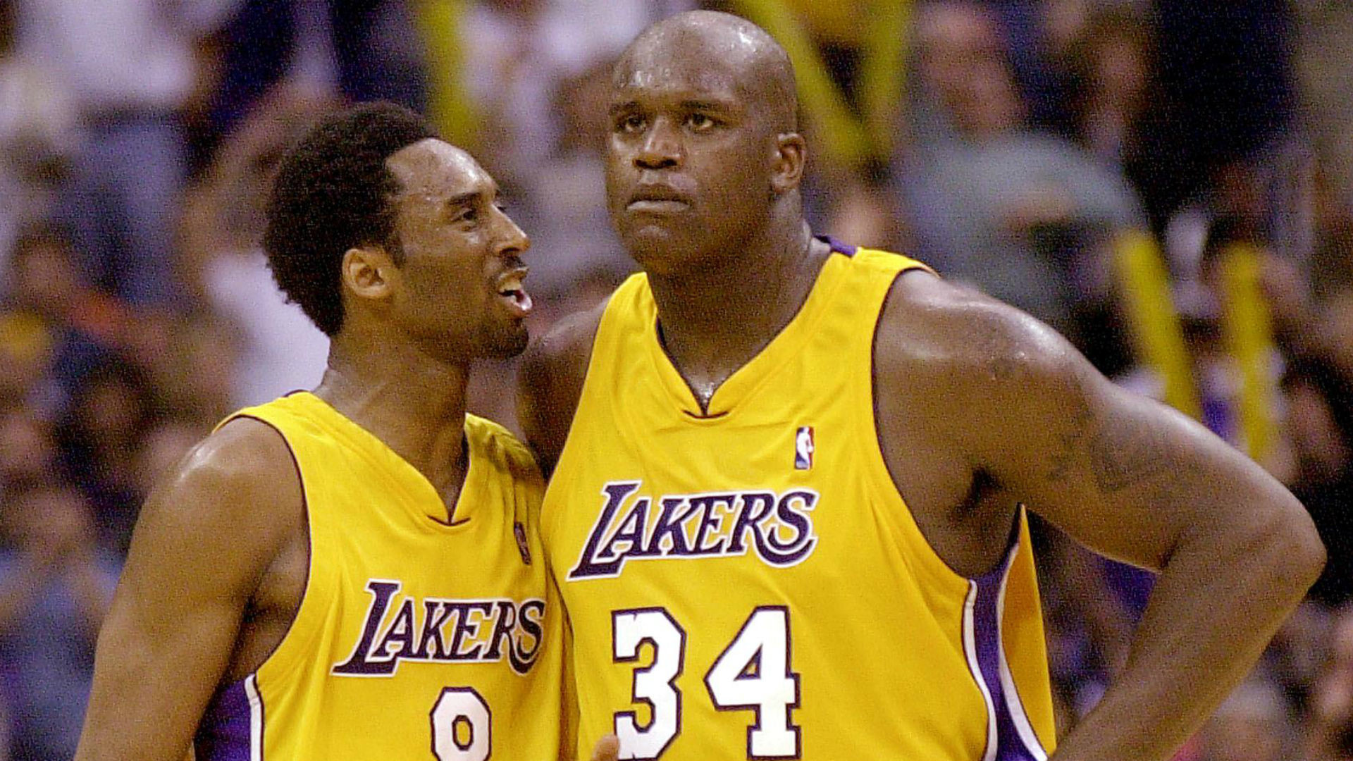 Shaq shaquille oneal lakers shaq and the lakers HD wallpaper  Peakpx