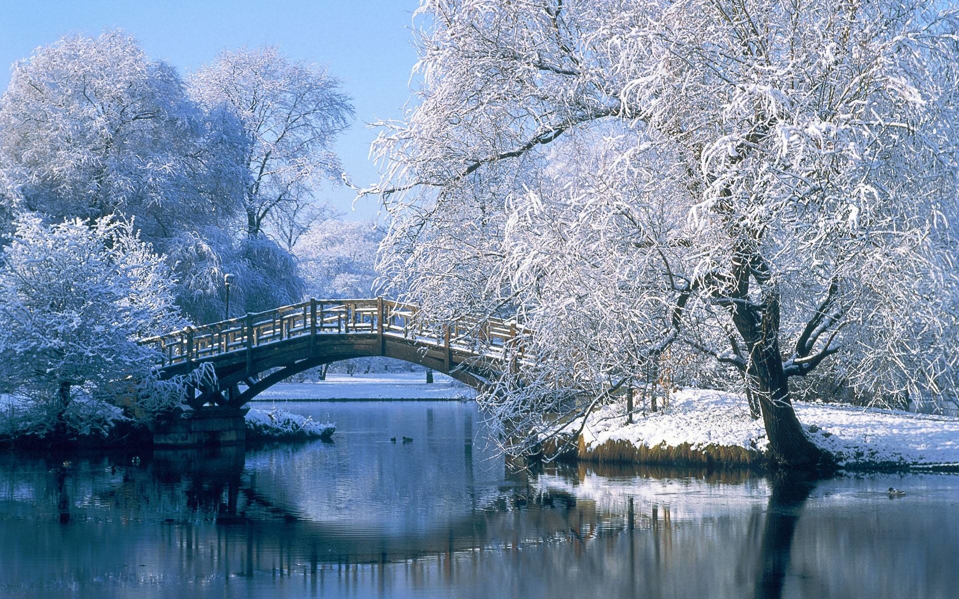 Winter Scenes for Desktop Wallpapers - HD Wallpapers Inn 1920x1200