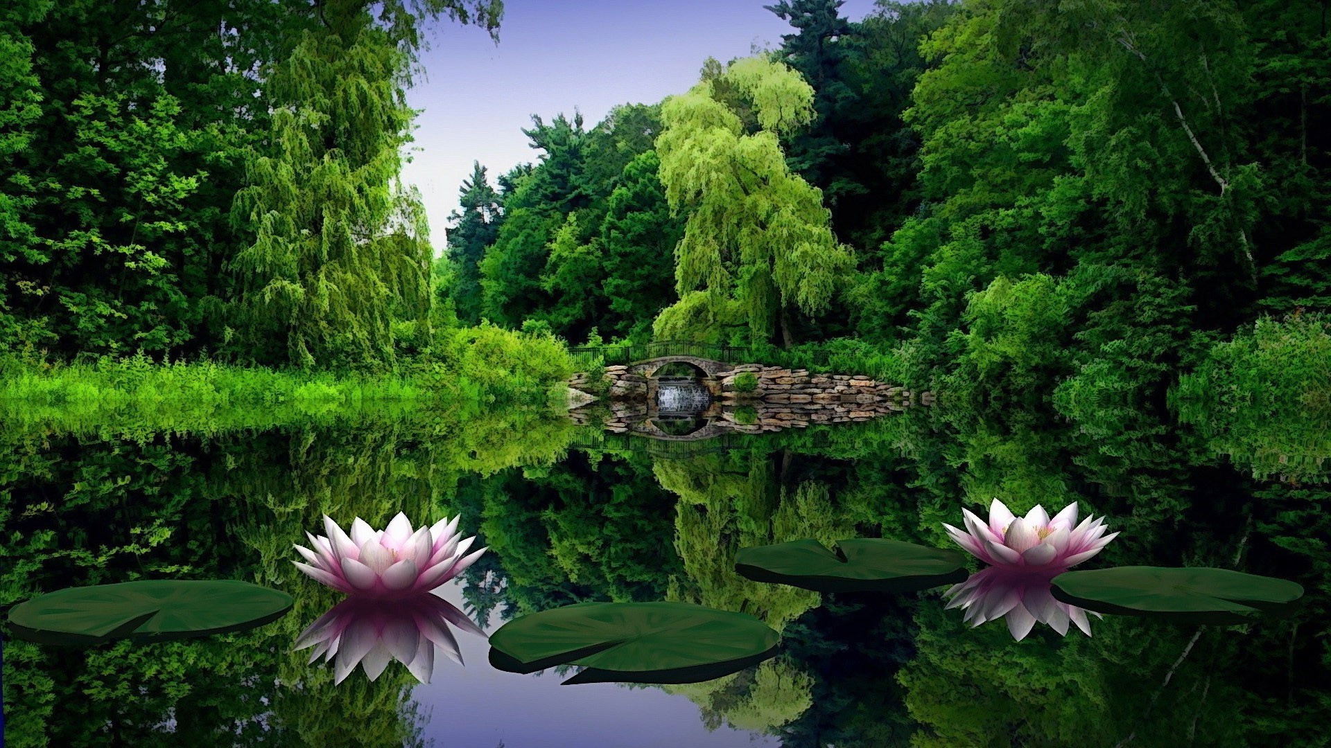 Water lilies wallpaper 461195 1920x1080 1920x1080