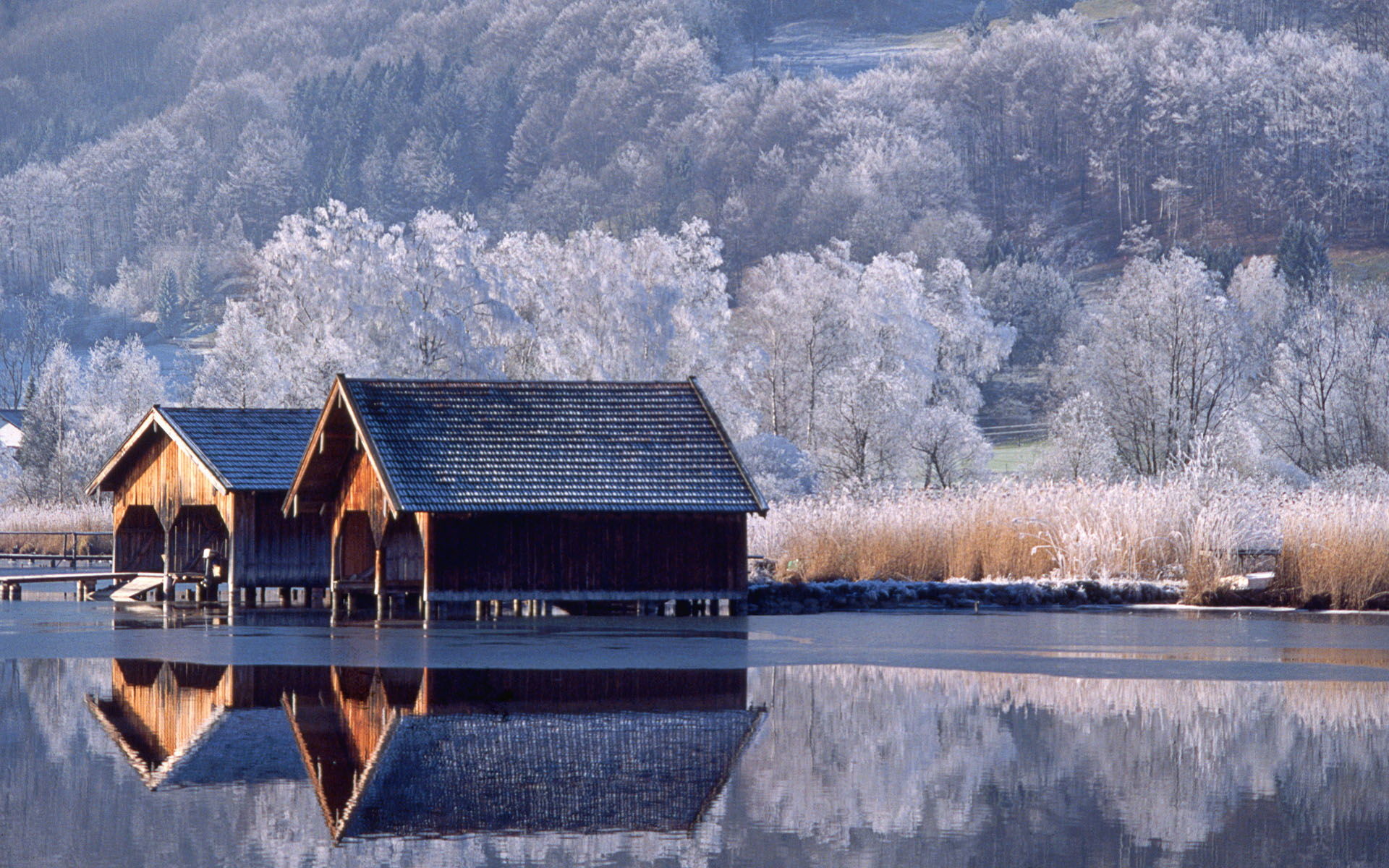Winter Wallpaper HD 15 - 1920 X 1200 1920x1200
