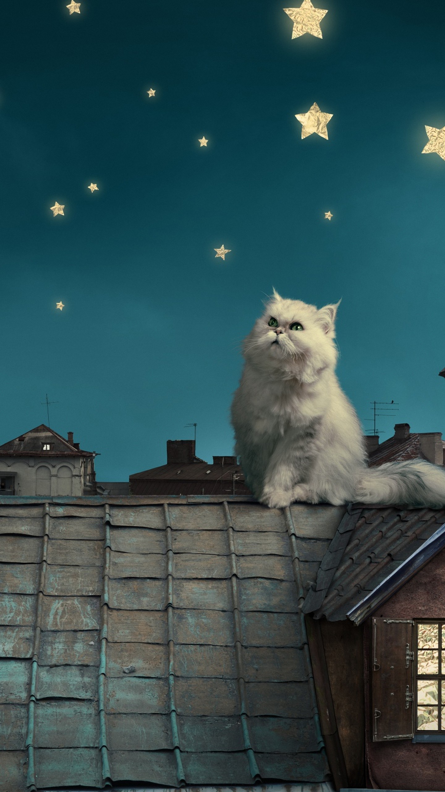 hd 1440x2560 cat fantasy sky white house mobile phone wallpapers 1440x2560