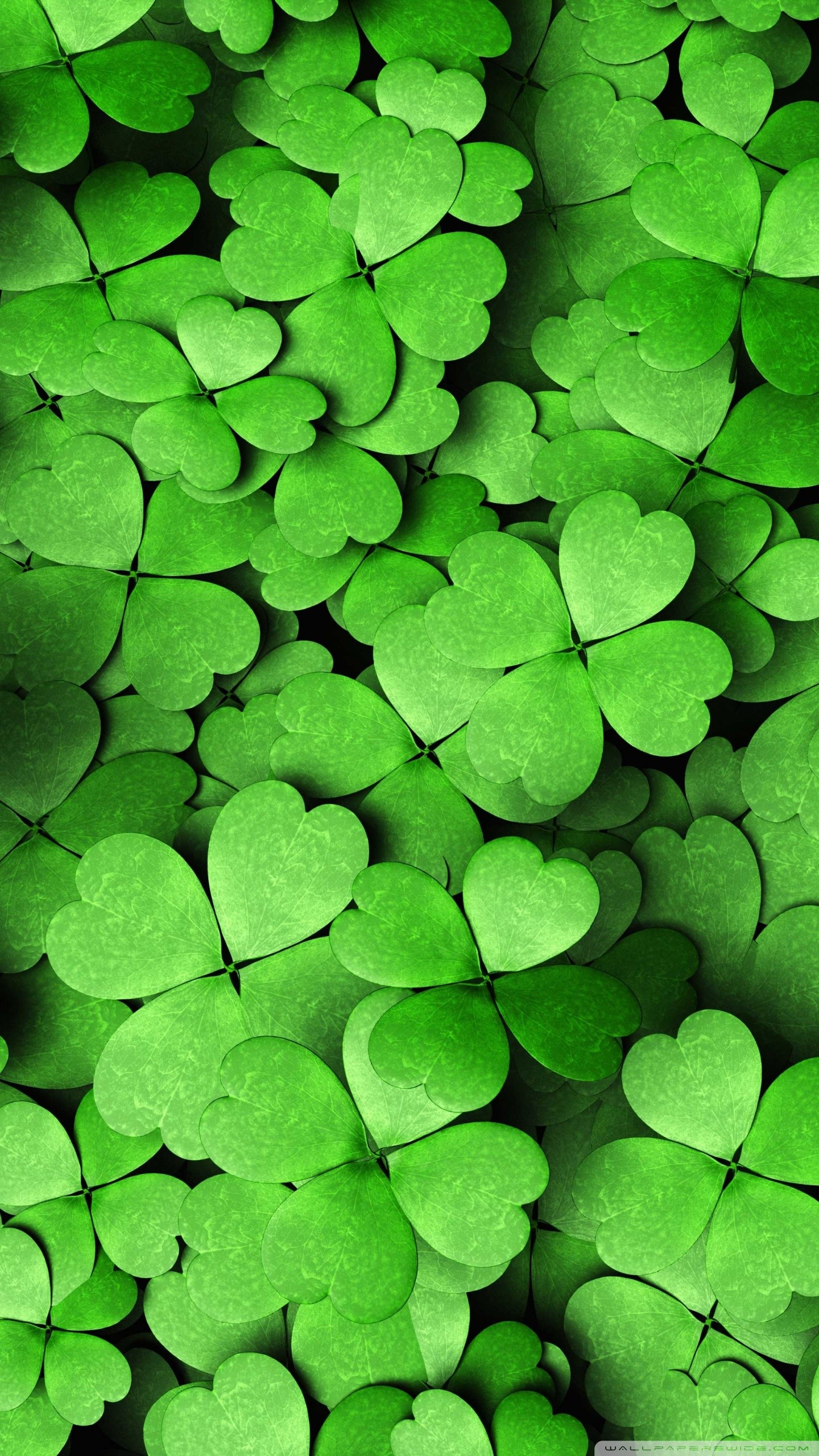 Wallpaper ID 308090  Earth Clover Phone Wallpaper Plant Leaf Greenery  1440x3120 free download