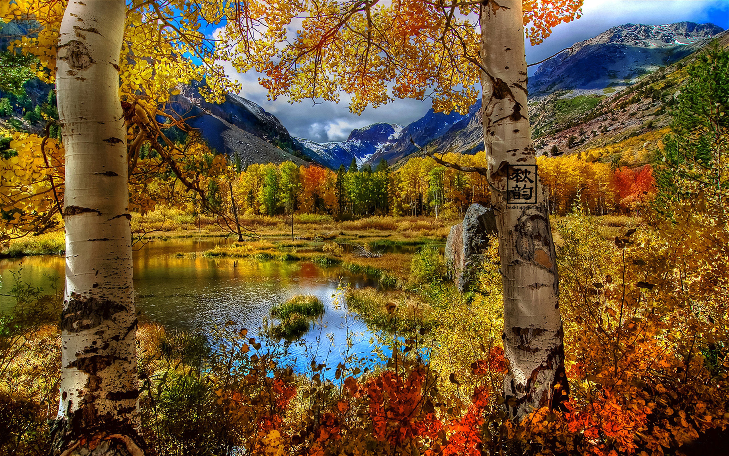Seasonal Wallpaper For Desktop 59 Pictures