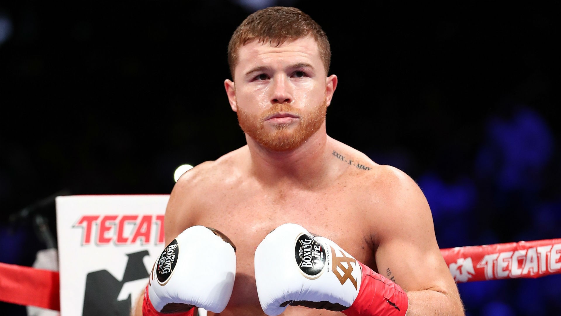 Canelo Alvarez Wallpapers (80+ pictures)