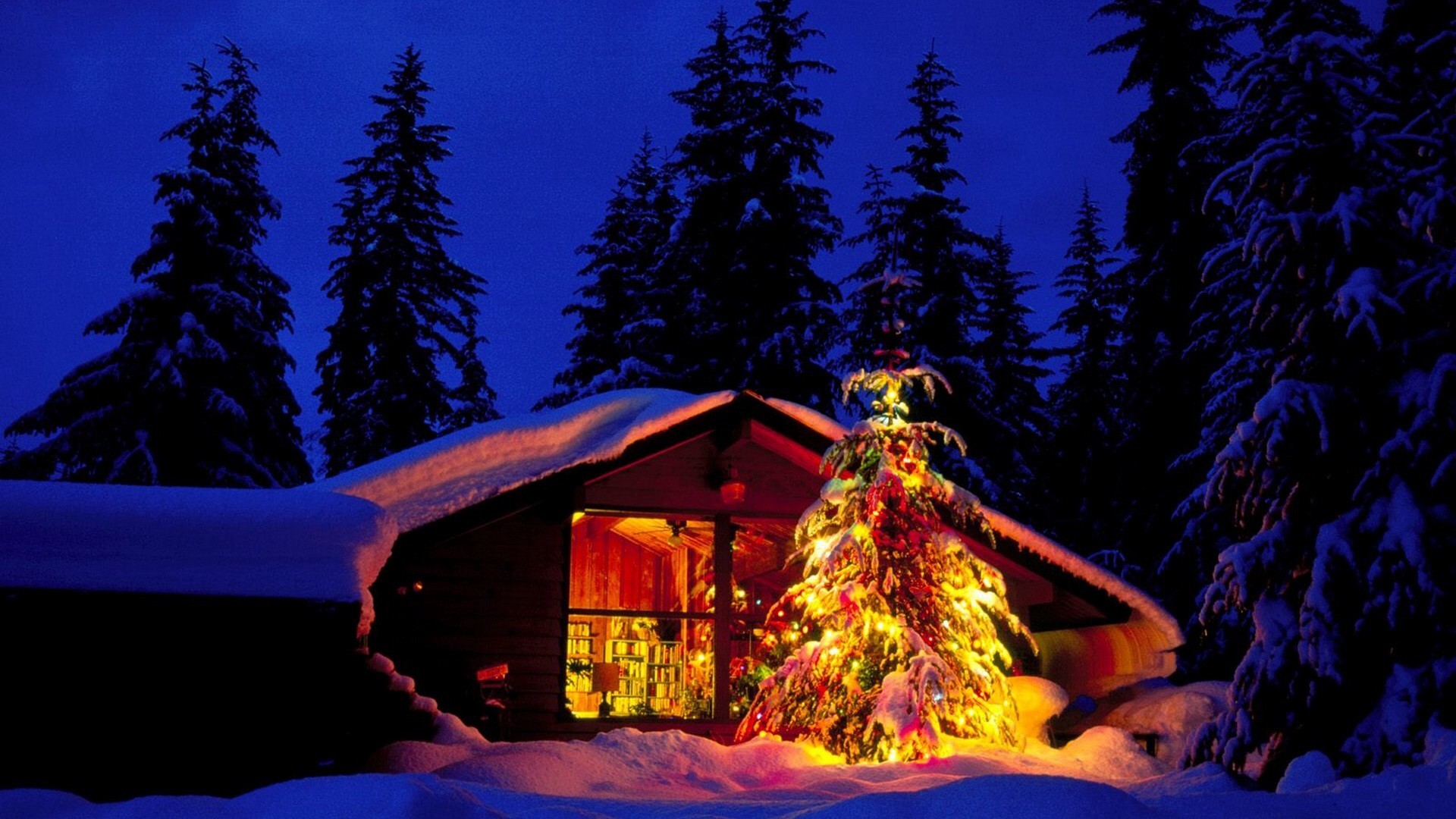 Wallpaper Christmas New Year Santa deer moon night winter snow 5k  Holidays 16832